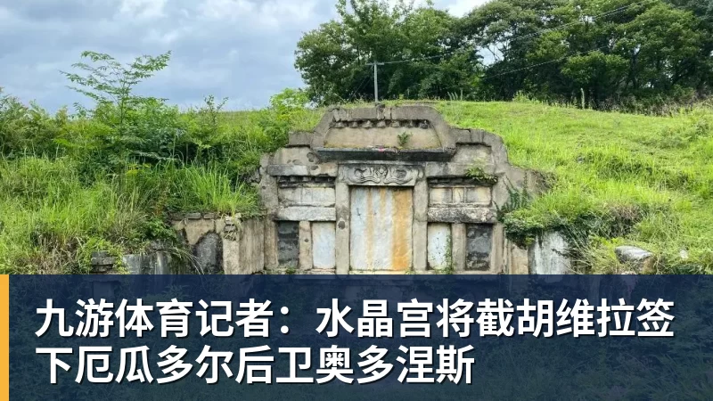 九游体育记者：水晶宫将截胡维拉签下厄瓜多尔后卫奥多涅斯